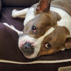 Meet your Posher, Jamie